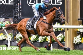 Jamie Melham và Half Yours vô địch lịch sử Melbourne Cup