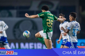 Lịch thi đấu bóng đá ngày 20 và rạng sáng 21 tháng 11 năm 2025