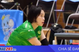 Gunma Green Wings vs Okayama Seagulls: Diễn biến bóng chuyền ngày 22/11