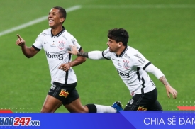 Nhận định Cruzeiro vs Corinthians (26/2): Ai sẽ thắng tại Serie A Brazil?