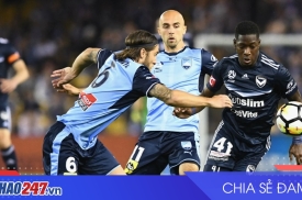 Nhận định Sydney FC vs Melbourne City: Ngang tài tại A-League