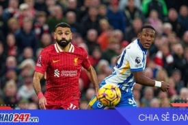Brighton vs Liverpool: Dự đoán và nhận định vòng 31 Ngoại hạng Anh