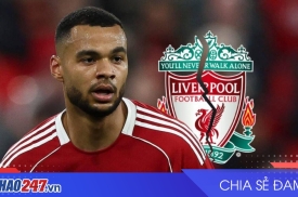 Liverpool nhắm Anthony Gordon từ Newcastle thay Cody Gakpo