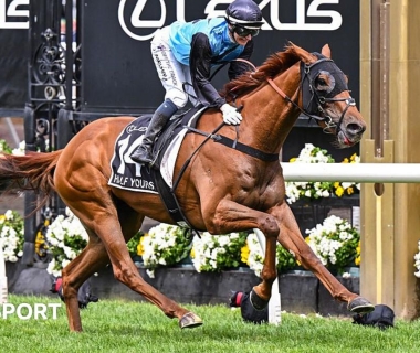 Jamie Melham và Half Yours vô địch lịch sử Melbourne Cup