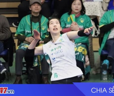 Bóng Chuyền VĐQG Nhật Bản: Gunma Green Wings Bị Toray Arrows Dẫn 2-1