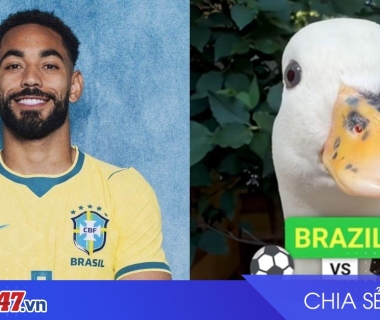 Brazil vs Ma Rốc: 