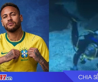 Cá mập tiên tri dự đoán kết quả trận Brazil vs Ma Rốc tại World Cup 2026